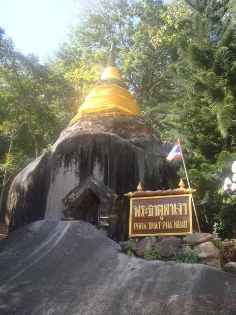 b001.JPG