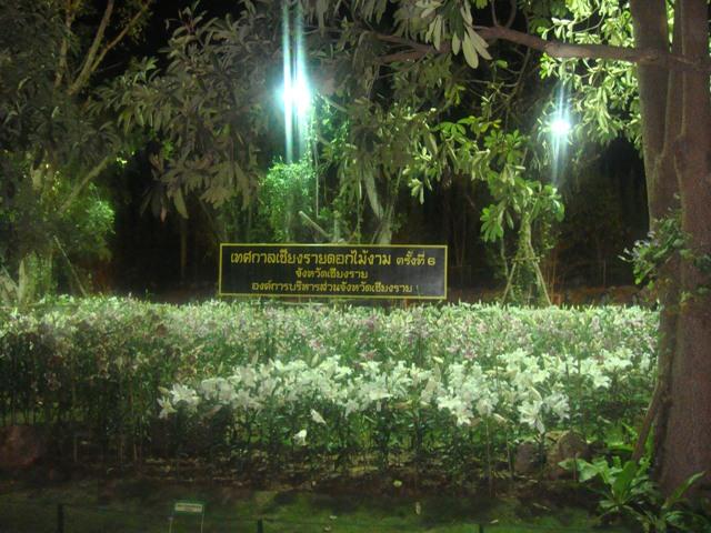 b004.JPG