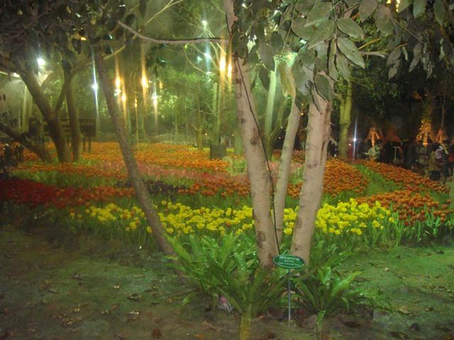 b005.JPG