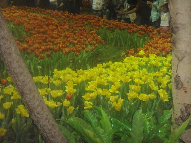 b007.JPG