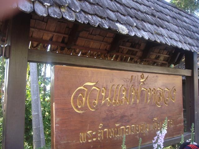 b013.JPG