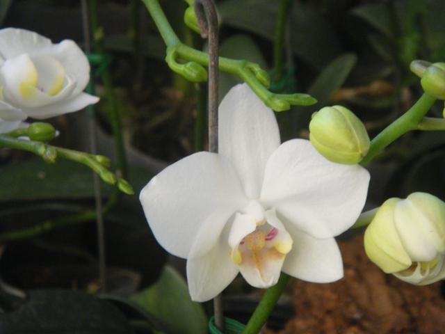 b016.JPG