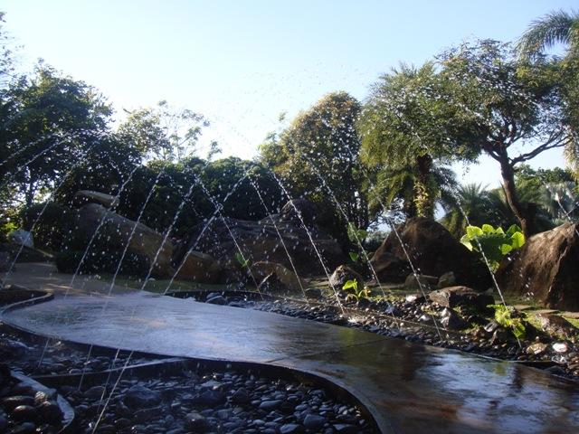 b018.JPG