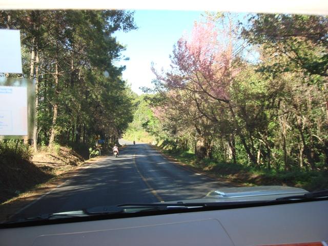 b023.JPG