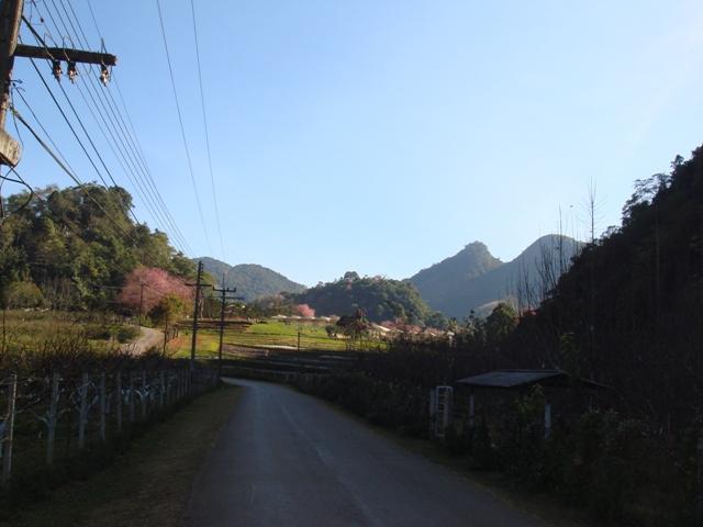 b032.JPG