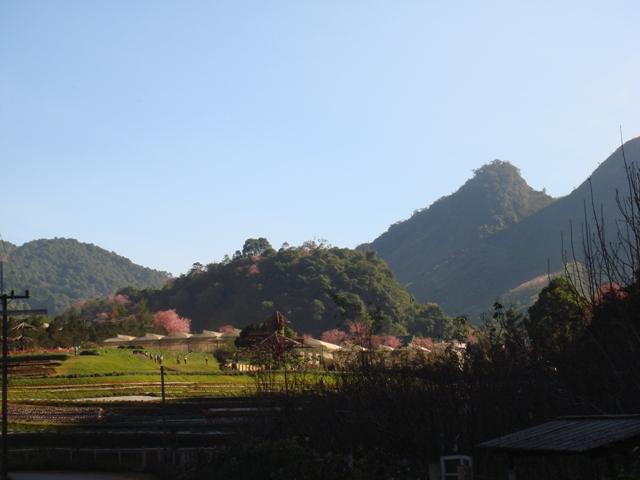 b033.JPG