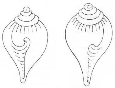 ฝังเมือง.jpg