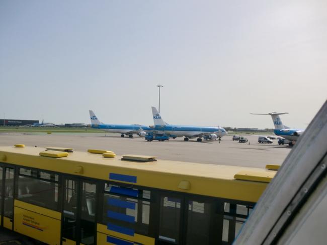 CIMG3595_resize.JPG