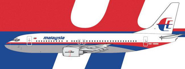mas586.jpg