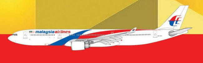 mas591.jpg