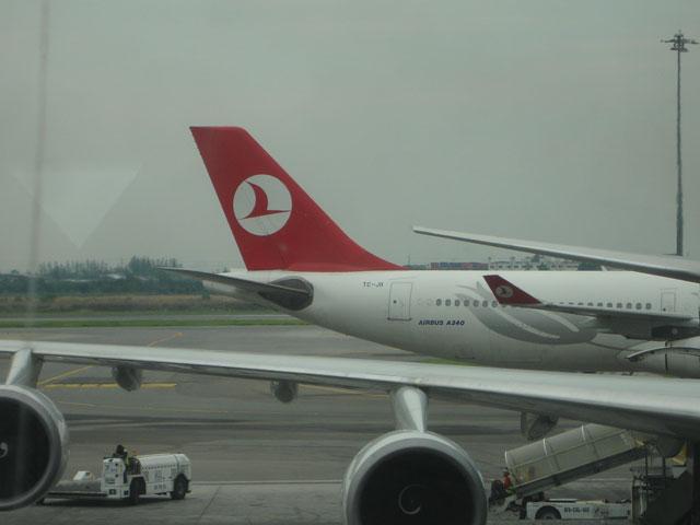 DSC00702.jpg