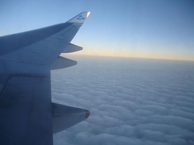 DSC00734.jpg