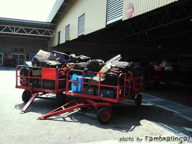 SDC13659.jpg