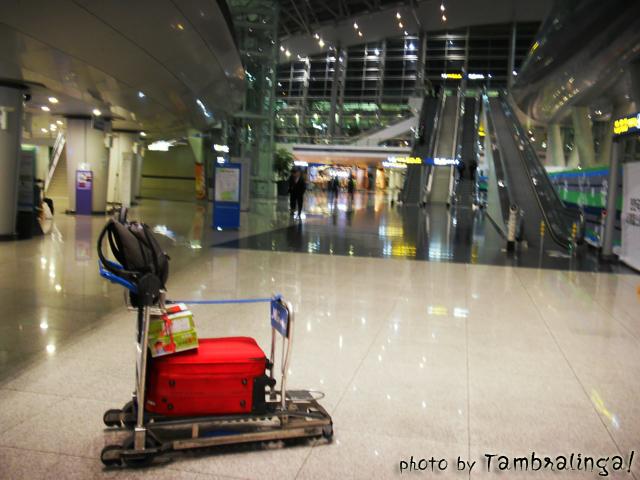SDC13456.jpg