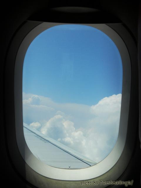 SDC13726.jpg