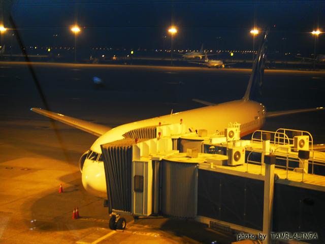 SDC15562.jpg