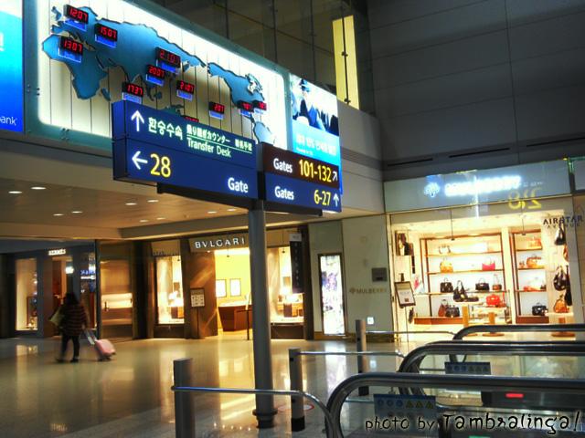 SDC13507.jpg