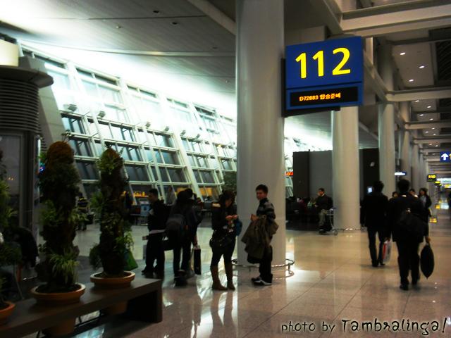 SDC13514.jpg