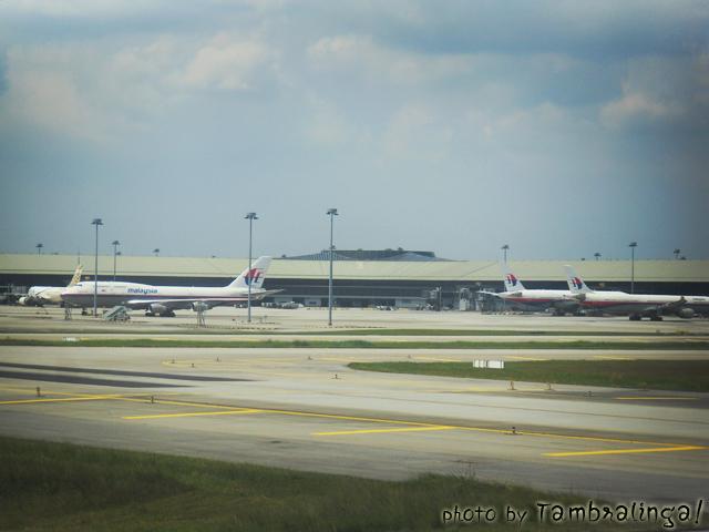SDC13712.jpg