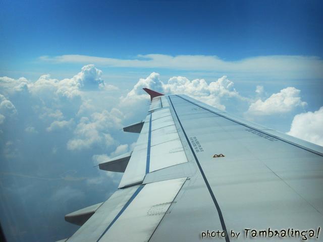 SDC13728.jpg