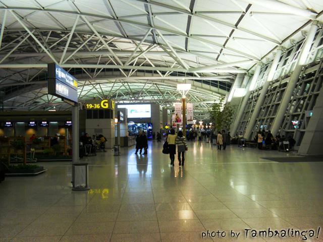 SDC13482.jpg