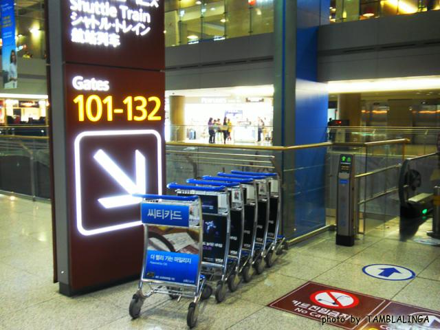 SDC15528.jpg