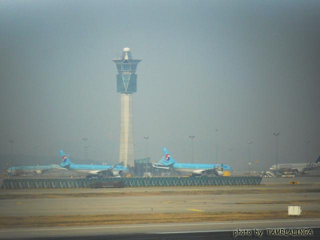 SDC15377.jpg