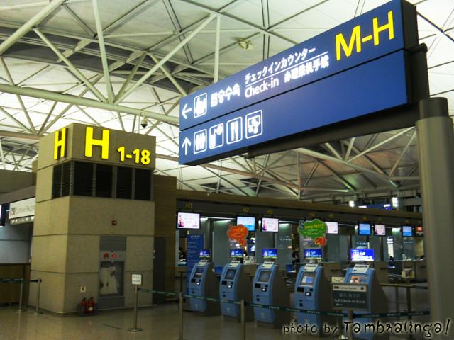 SDC13480.jpg