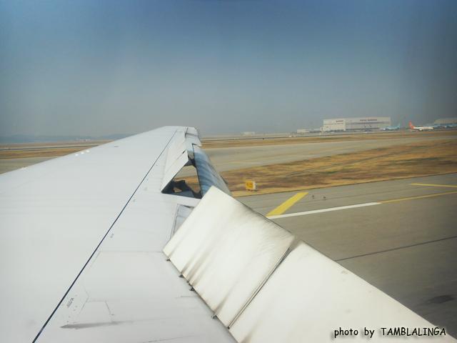 SDC15375.jpg