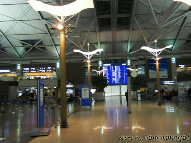 SDC13484.jpg
