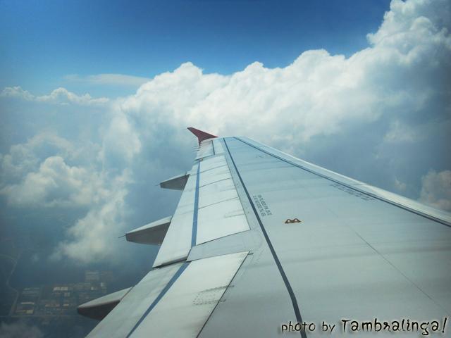 SDC13727.jpg
