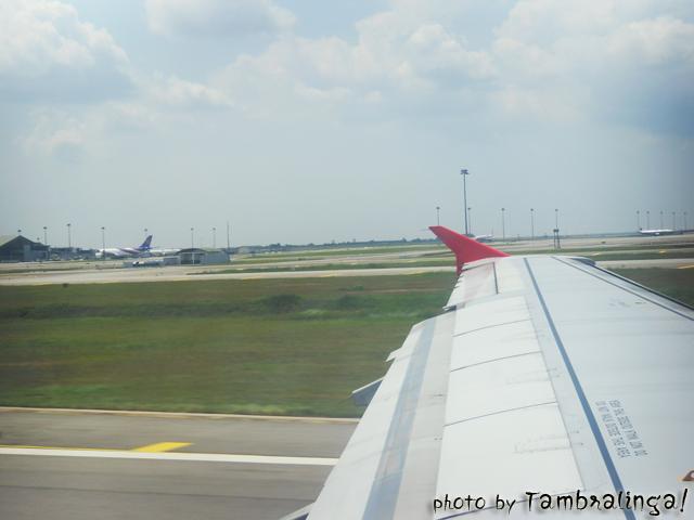 SDC13718.jpg