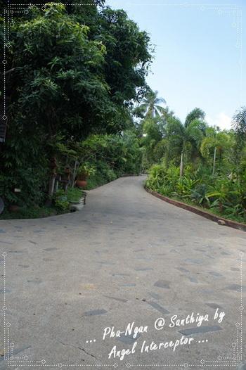 121.jpg