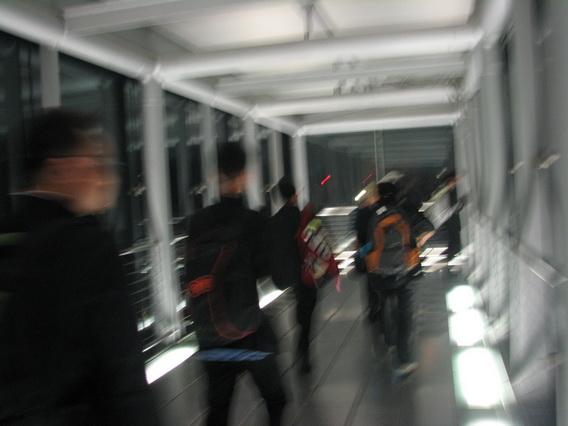 IMG_6739.jpg