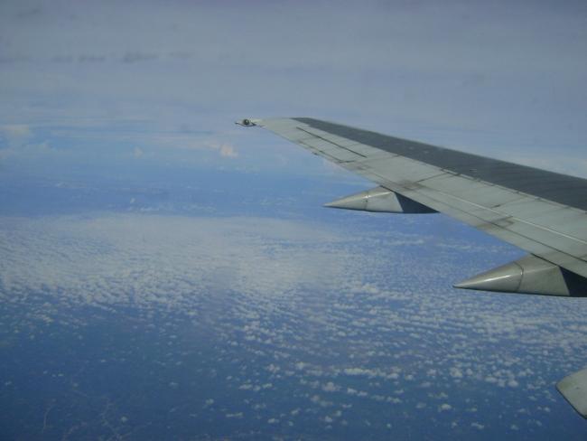 DSC02962.jpg