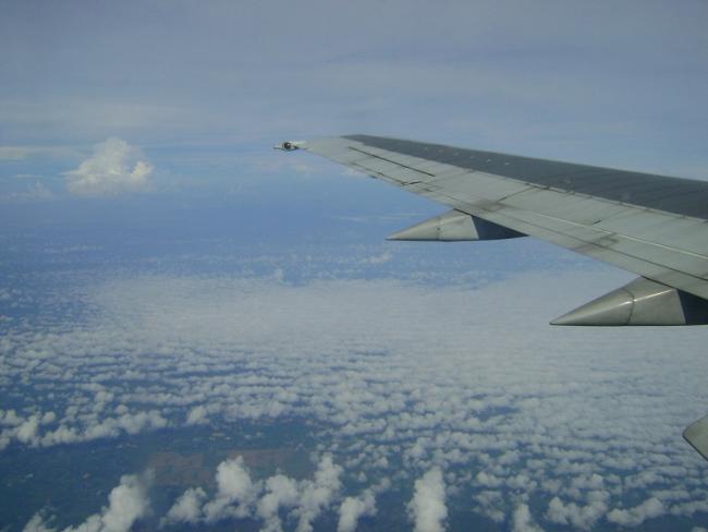 DSC02959.jpg