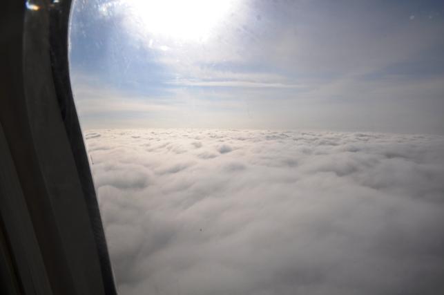 DSC_5305.JPG