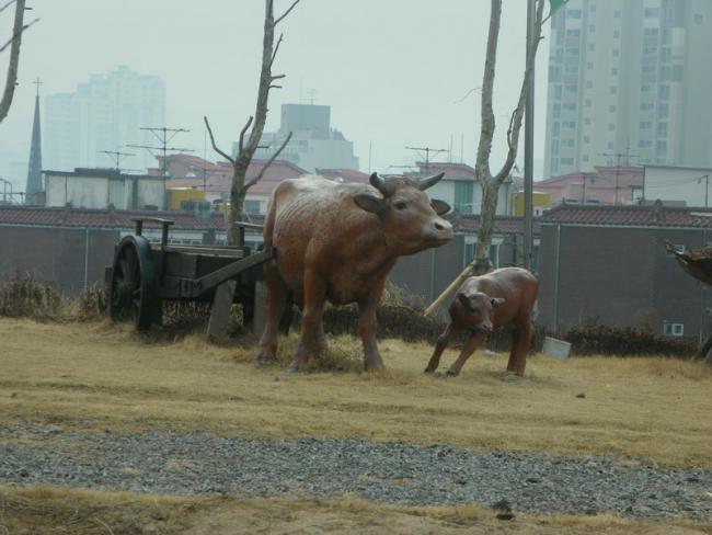 100_5427_resize.JPG