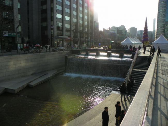 100_5624_resize.JPG