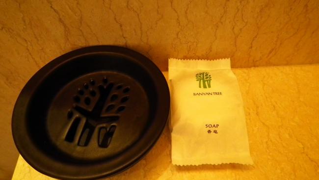 DSCF0295_resize.JPG
