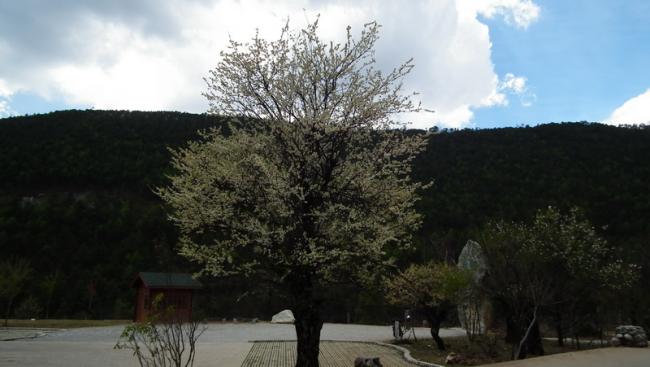 DSCF0176_resize.JPG