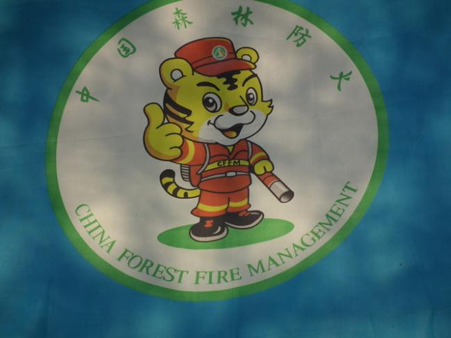 DSCF0381_resize.JPG