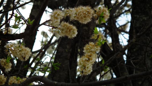 DSCF0175_resize.JPG