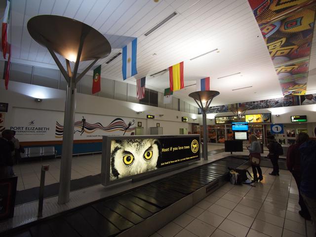 P4144447.jpg