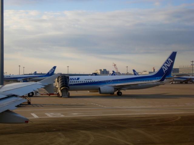 DSC04203.jpg
