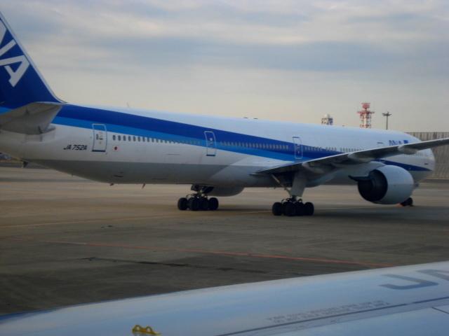 DSC04216.jpg