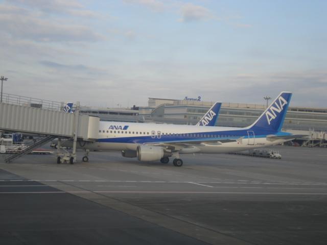 DSC04209.JPG