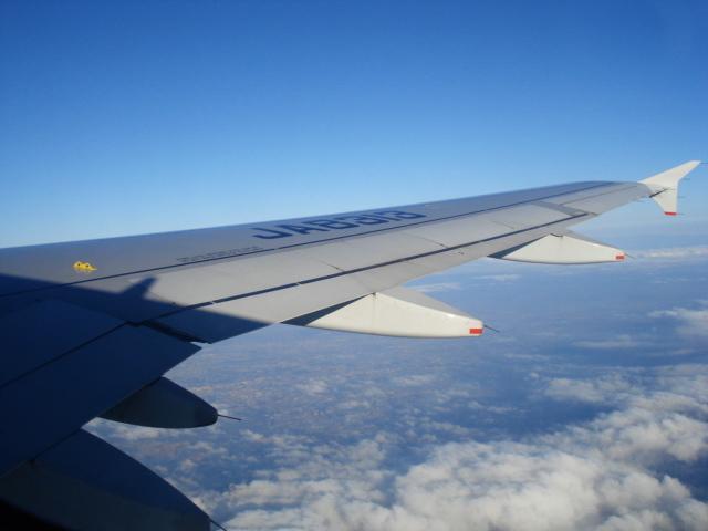 DSC04225.jpg
