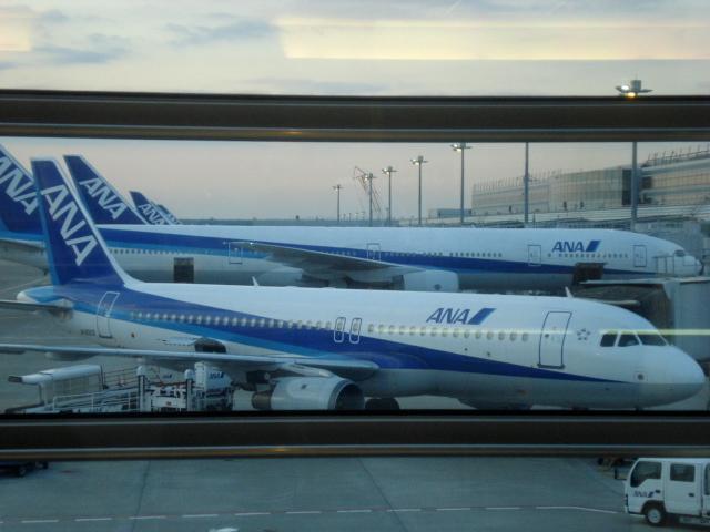 DSC04171.jpg