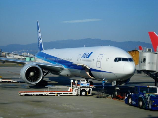 DSC04247.jpg